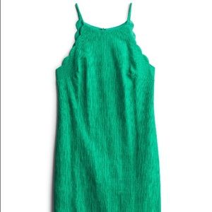 Scalloped detail knit dress